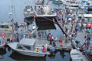 Busy dock