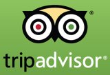 Trip Advisor logo in green