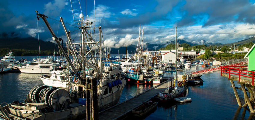 Docks and boats