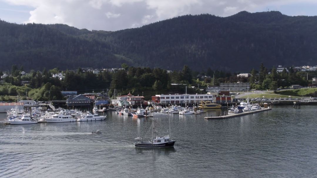 Boats in a harbour