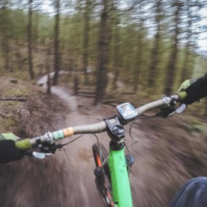 Mountain Biker's view in forest