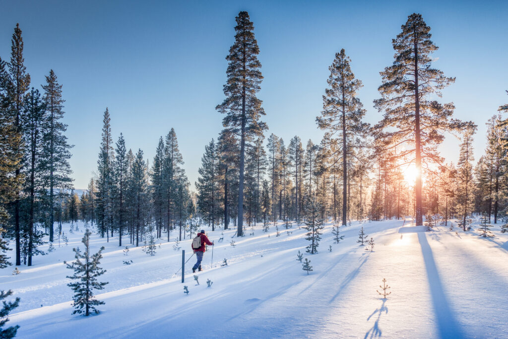 Woman snowshoeing with a backpack and walking poles. Blue skies and fresh snow.