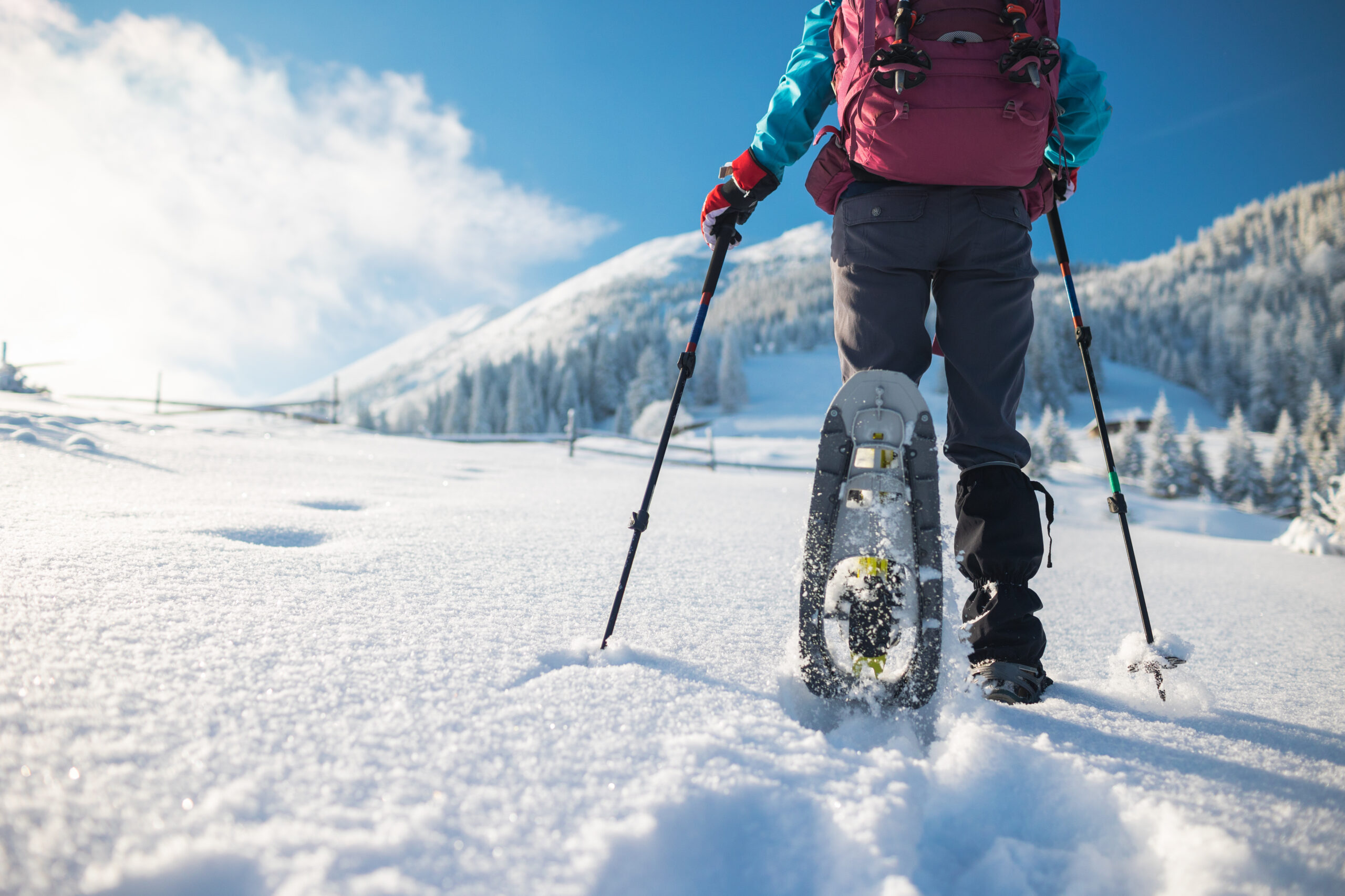 Cross Country Skier moves across the snow as sun peaks through the trees