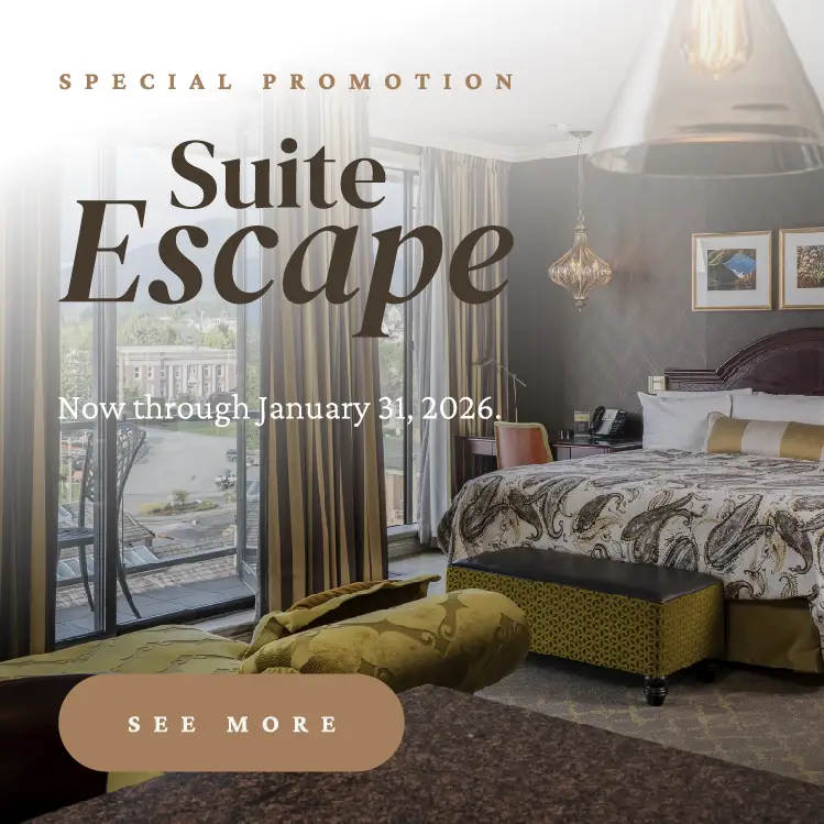 Suite Escape special promotion. Click to see more.